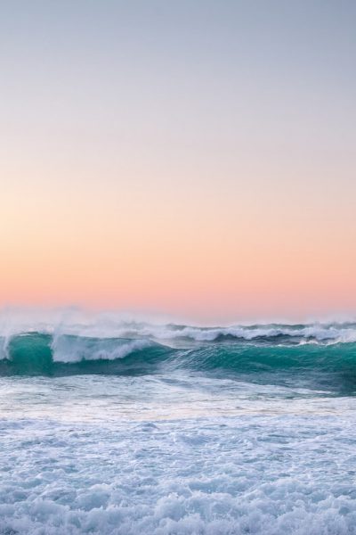 laura-barry-nEw6iC2SOcM-unsplash-2 laura-barry-nEw6iC2SOcM-unsplash-2
